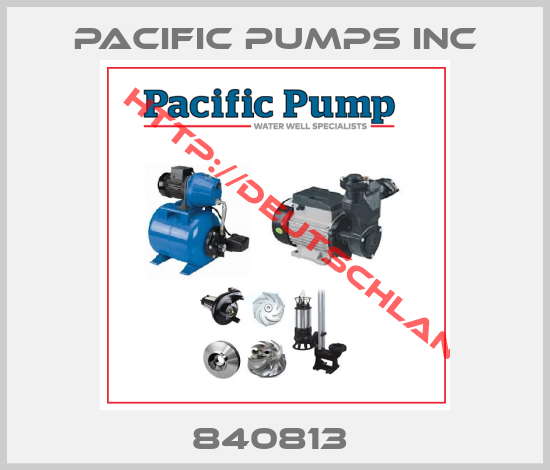 PACIFIC PUMPS INC-840813 