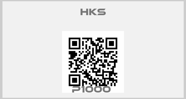 Hks-P1000 