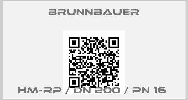 Brunnbauer-HM-RP / DN 200 / PN 16 