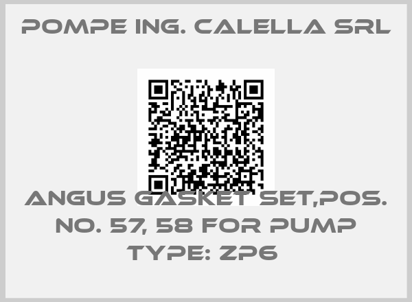 Pompe Ing. Calella Srl-Angus gasket set,Pos. No. 57, 58 for pump type: ZP6 