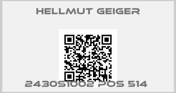 Hellmut Geiger-2430S1002 POS 514 