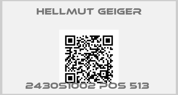 Hellmut Geiger-2430S1002 POS 513 