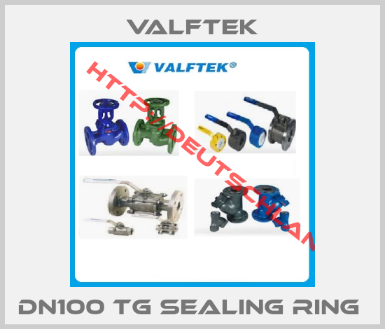 Valftek-DN100 TG Sealing Ring 