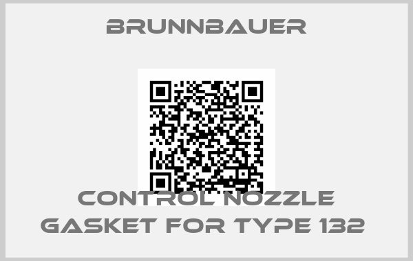 Brunnbauer-CONTROL NOZZLE GASKET FOR TYPE 132 