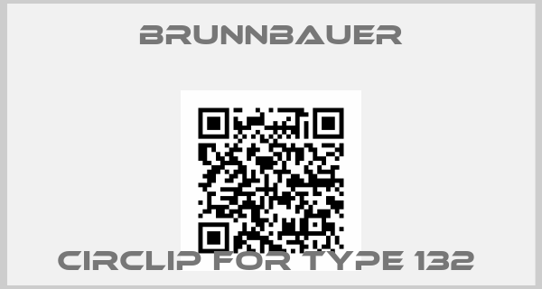 Brunnbauer-CIRCLIP FOR TYPE 132 