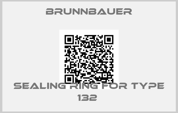 Brunnbauer-SEALING RING FOR TYPE 132 