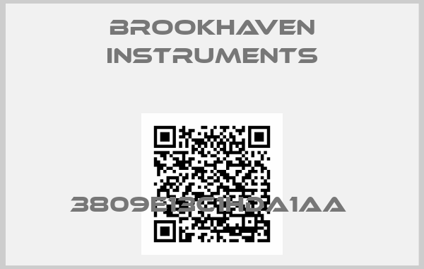Brookhaven Instruments-3809E13C1HDA1AA 