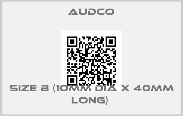 Audco-Size B (10mm Dia x 40mm long) 