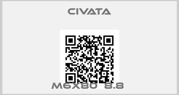 Civata-M6X80  8.8 