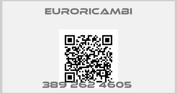 EURORICAMBI-389 262 4605 