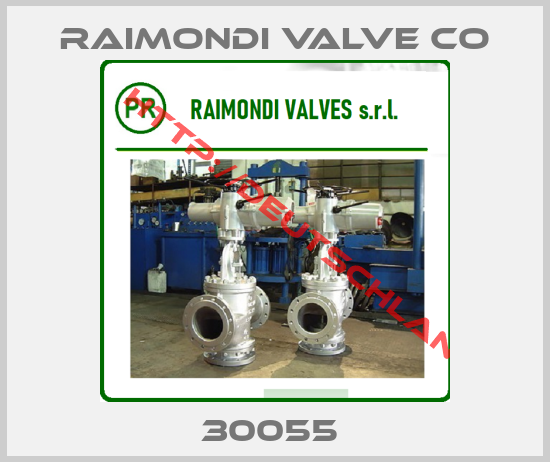 RAIMONDI VALVE CO-30055 