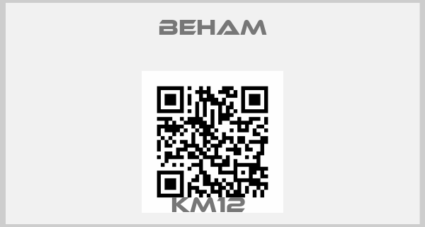 Beham-KM12 