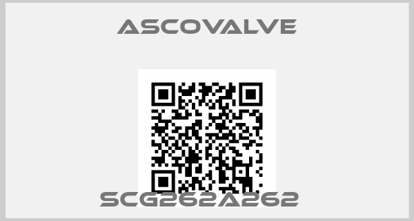 Ascovalve-SCG262A262  