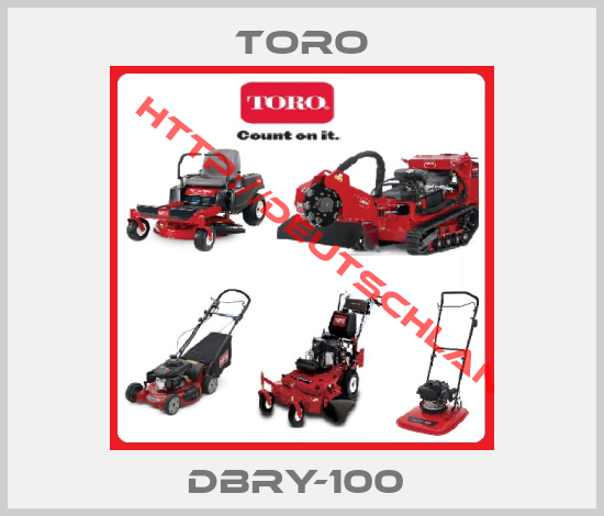 Toro-DBRY-100 