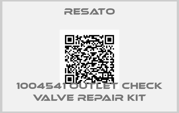 Resato-1004541 Outlet check valve repair kit