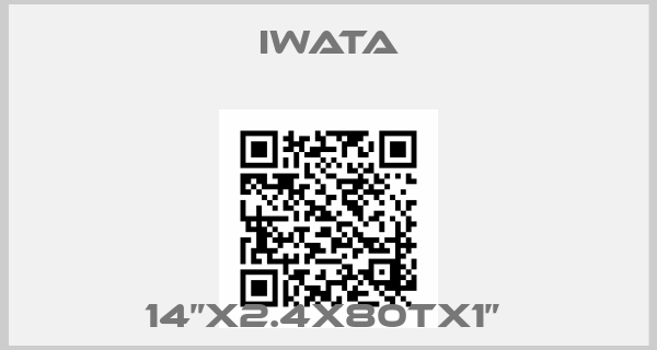 Iwata-14”x2.4x80Tx1” 