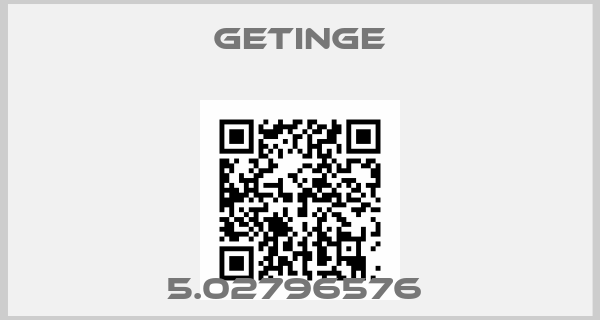 Getinge-5.02796576 
