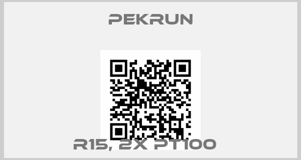 Pekrun-R15, 2X Pt100  