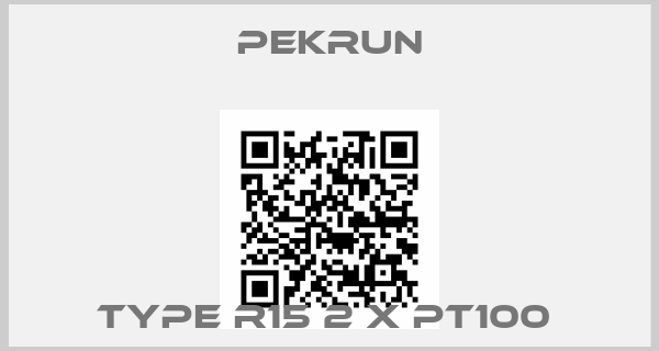 Pekrun-TYPE R15 2 X PT100 
