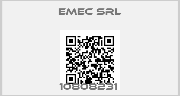 Emec Srl-10808231 