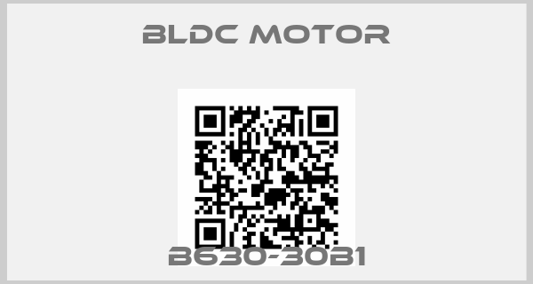 BLDC MOTOR-B630-30B1