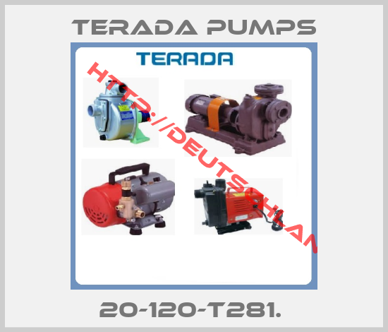 Terada Pumps-20-120-T281. 