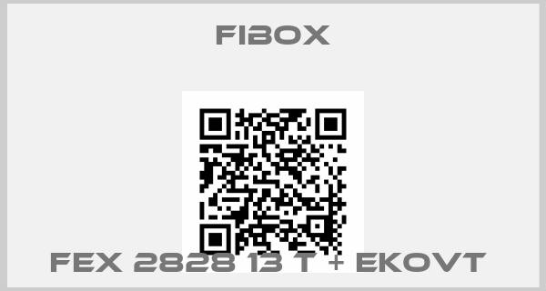 Fibox-FEX 2828 13 T + EKOVT 
