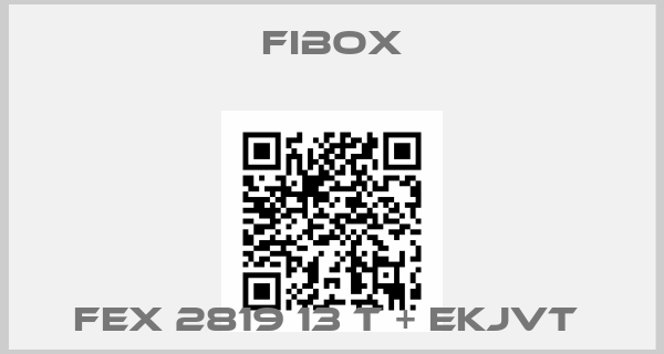 Fibox-FEX 2819 13 T + EKJVT 