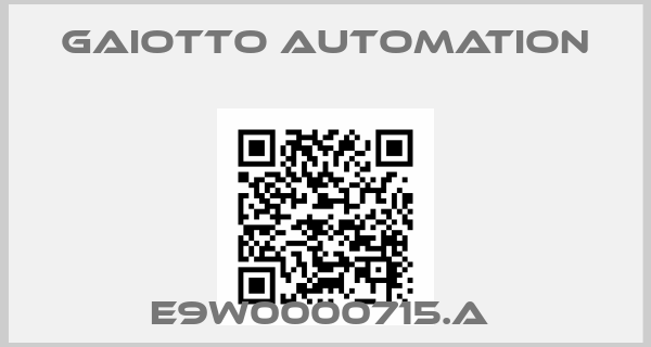 Gaiotto Automation-E9W0000715.A 