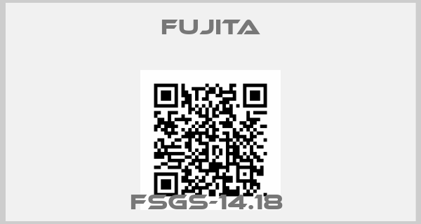 fujita-FSGS-14.18 