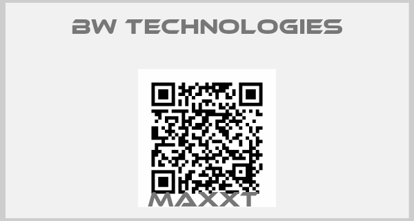 BW Technologies-MaxXT 