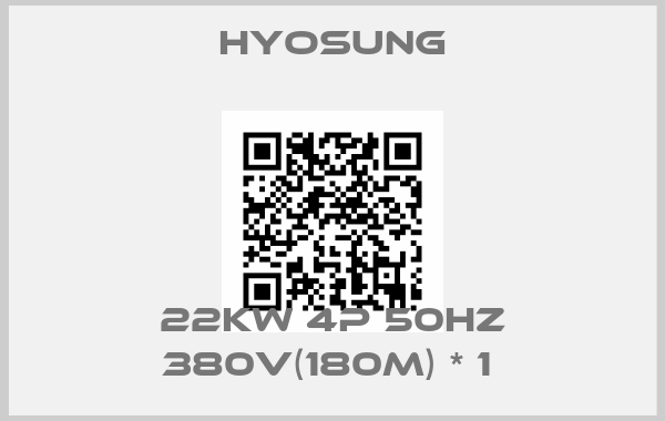 Hyosung-22kW 4P 50Hz 380V(180M) * 1 