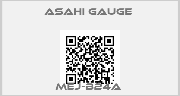 ASAHI Gauge -MEJ-B24A 