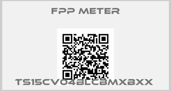 FPP METER-TS15CV04BLCBMXBXX 