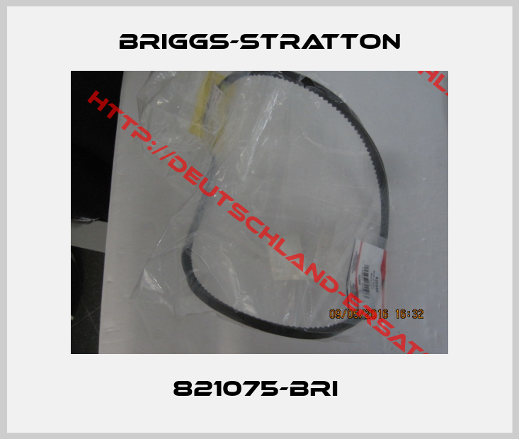 Briggs-Stratton-821075-BRI 