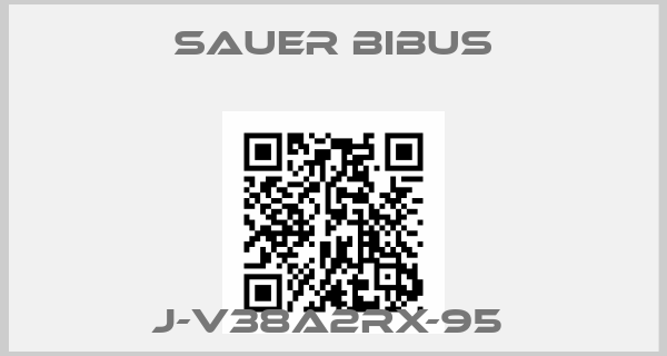 SAUER BIBUS-J-V38A2RX-95 