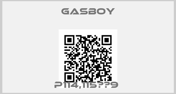 Gasboy-P114,115　＃9 