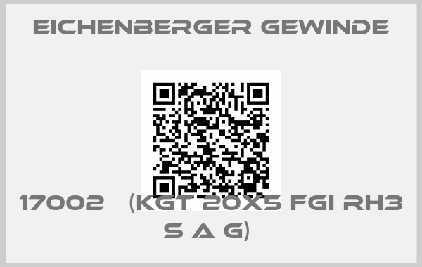 Eichenberger Gewinde-17002   (KGT 20x5 FGI RH3 S A G) 
