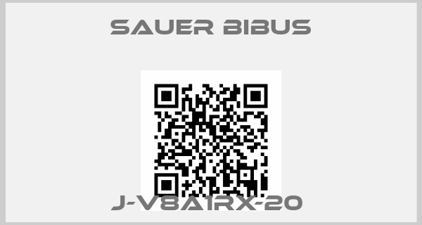 SAUER BIBUS-J-V8A1RX-20 