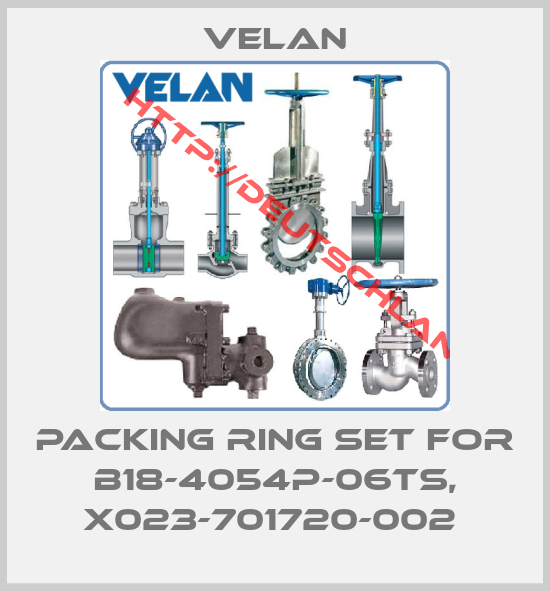 Velan-PACKING RING SET for B18-4054P-06TS, X023-701720-002 