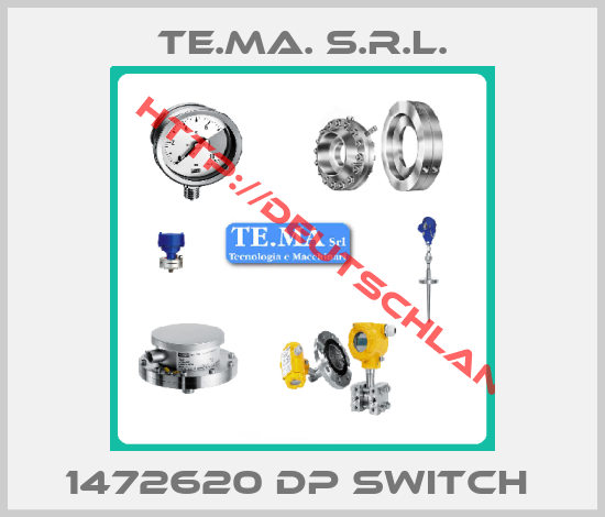 te.ma. s.r.l.-1472620 DP switch 