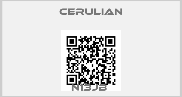 CERULIAN-N13JB 