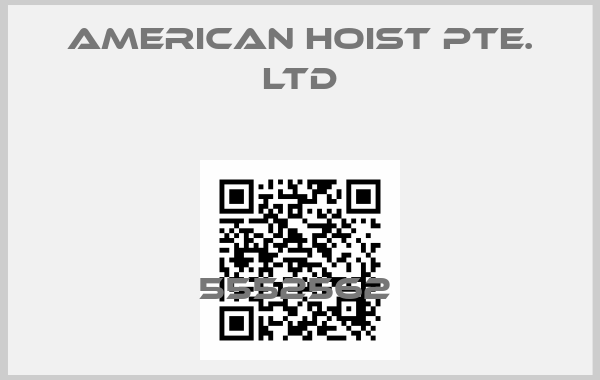 American hoist Pte. Ltd-5552562 