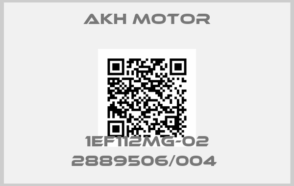 AKH Motor-1EF112MG-02 2889506/004 