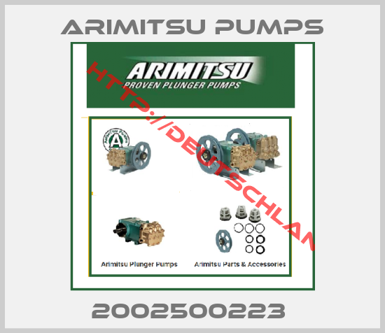 Arimitsu Pumps-2002500223 
