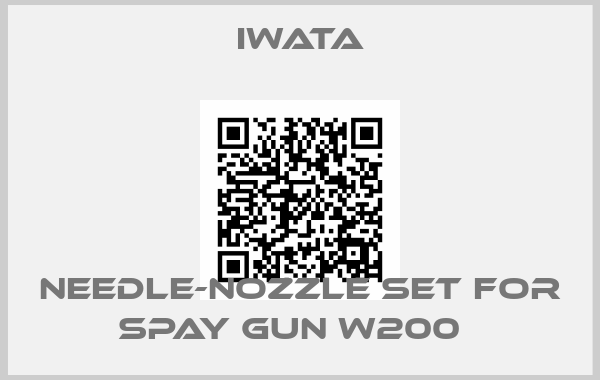 Iwata-Needle-Nozzle set for Spay Gun W200  