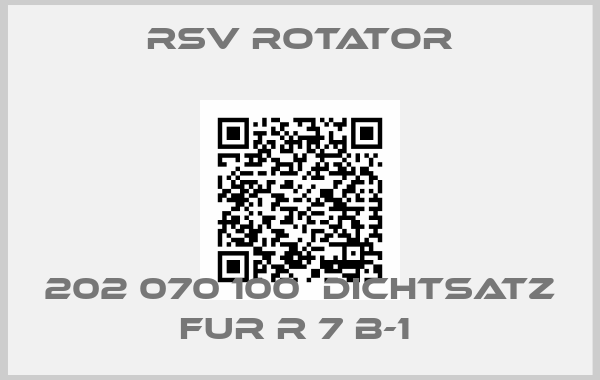 RSV ROTATOR-202 070 100  DICHTSATZ FUR R 7 B-1 