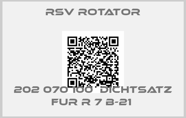 RSV ROTATOR-202 070 100  DICHTSATZ FUR R 7 B-21 