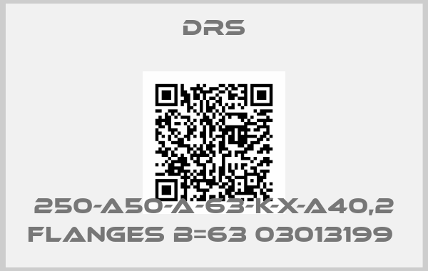 DRS-250-A50-A-63-K-X-A40,2 flanges B=63 03013199 
