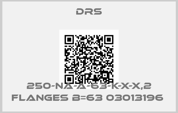 DRS-250-NA-A-63-K-X-X,2 flanges B=63 03013196 